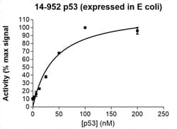 Eurofins DiscoverX p53 (expressed in E.coli) Protein 10 &mu;g | Buy Online | Eurofins DiscoverX | Fisher Scientific